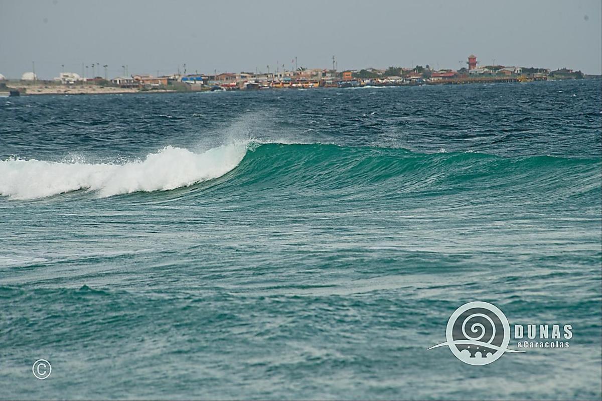 Entre Dunas Y Caracolas Punta Choros Exterior foto