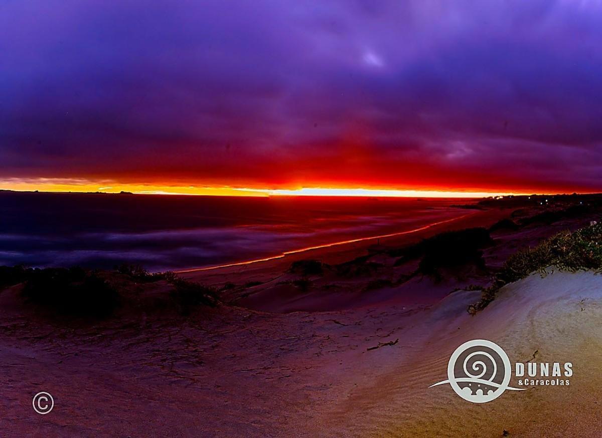 Entre Dunas Y Caracolas Punta Choros Exterior foto